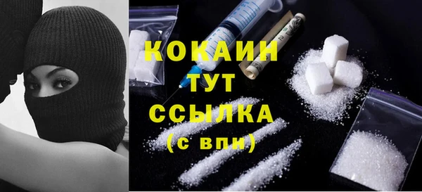 гашик Белокуриха