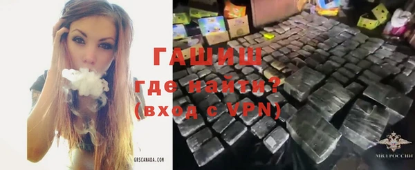 индика Балахна